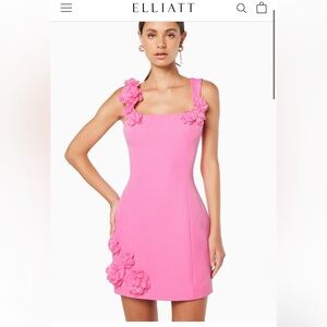 Brand New with tags Elliatt Dress